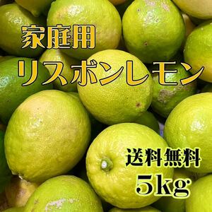 熊本県産 リスボン レモン 家庭用5kg 送料無料