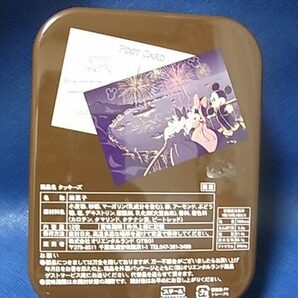 レトロ TDL 東京ディズニーランド ディズニーシー限定 ミッキー ミニー 缶ケース 1995年 空き缶 ディズニー 送料￥510の画像7