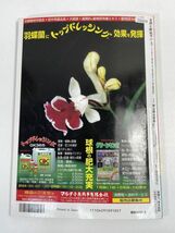 自然と野生ラン 1998年9月号　※ 富貴蘭 ダイモンジソウ ウチョウラン ギボウシ エビネ マツバラン ※ 園芸JAPAN　1998年 平成10【H74104】_画像5