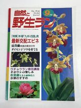 自然と野生ラン 1998年9月号　※ 富貴蘭 ダイモンジソウ ウチョウラン ギボウシ エビネ マツバラン ※ 園芸JAPAN　1998年 平成10【H74104】_画像1