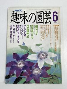 NHK 趣味の園芸 1989年6月号 シンビジュームとファレノプシス(胡蝶蘭)～バルブの太らせ方 吊り鉢を楽しむ 庭のアジサイ など【H76189】