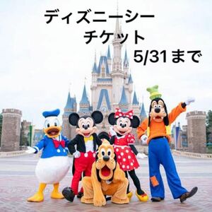 東京ディズニーシー 未使用チケット 平日限定 大人1枚