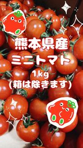 【 農家直送！完熟新鮮 】 熊本県産 ミニトマト1kg