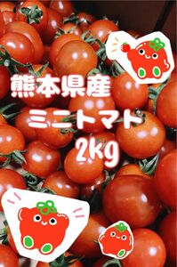 【減農薬・有機肥料メイン】 熊本県産 完熟ミニトマト2kg