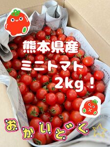 【減農薬・有機肥料メイン】 熊本県産 完熟ミニトマト2kg