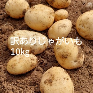  Nagasaki префектура производство есть перевод картофель L 10.