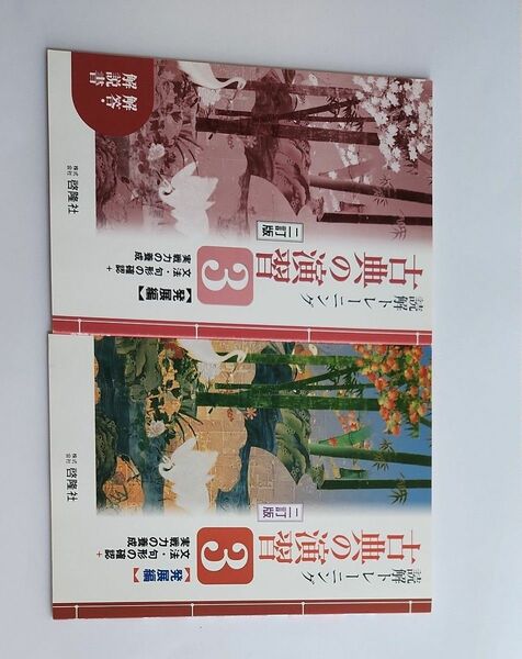 読解トレーニング　古典の演習(3)発展編