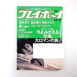 週刊プレイボーイ 1993年6月8日号◎坂木裕子 櫻井敦子 阪神タイガース 貴闘力 日本風水/荒俣宏 小松千春 姫ノ木杏奈 マトカル 原久美子