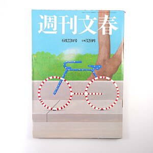 週刊文春 2006年6月22日号◎秋田小1殺害真相 離婚カウンセラー池内ひろ美 郵政民営化誤算 細木数子 小西真奈美 シンドラー社 内田康夫