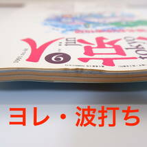 【3冊】東京人 鉄道・バス特集 1991・92年／山手線各駅停車物語 地下鉄の達人になる バスで東京を遊ぶ 赤瀬川原平 井上ひさし 田中小実昌_画像5