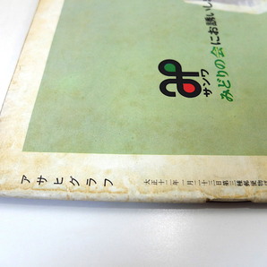 アサヒグラフ 1964年4月3日号／羽田空港・国際線 夜の若者たち 日通福岡支店 山本陽子 栃ノ海 ヒマラヤ遠征隊 柳生街道 十河信二の画像4