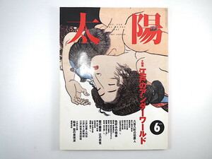 太陽 1993年6月号「江戸のアンダーワールド」富士と吉原/泡坂妻夫 八百八町の犯罪人 色好みの極楽 闇と幽霊 妖怪名所図絵 絵金/横尾忠則