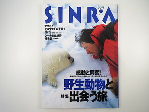 SINRA 1999年3月号「野生動物と出会う旅」勝谷誠彦 エコツアー 自然写真講座 マレーシア アマミノクロウサギ ハニーポッサム シンラ