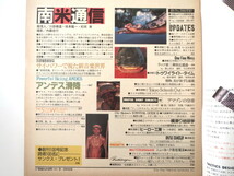 【2冊】BRUTUS 80年代年南米特集「ブルータス 海の特集」「南米通信」メキシコ タヒチ 久保田二郎 川田順造 坂本龍一 ブルータス_画像7