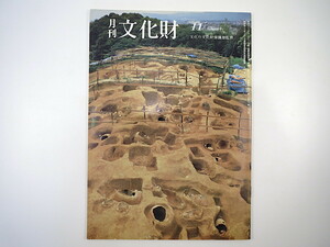 月刊文化財 1985（昭和60）年11月号／弥生墓地の構造 吉武高木甕棺遺跡 大阪市加美遺跡の墳丘墓 小敷田遺跡の方形周溝墓 民謡・栃木