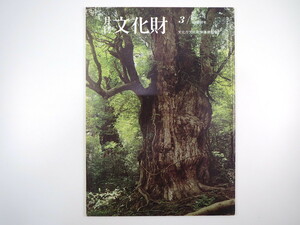 月刊文化財 1982（昭和57）年3月号／巨樹・巨木の語るもの 天然記念物・老大木の保護保存 天然保護区域 稀少動物の生態学 広島県の文化財