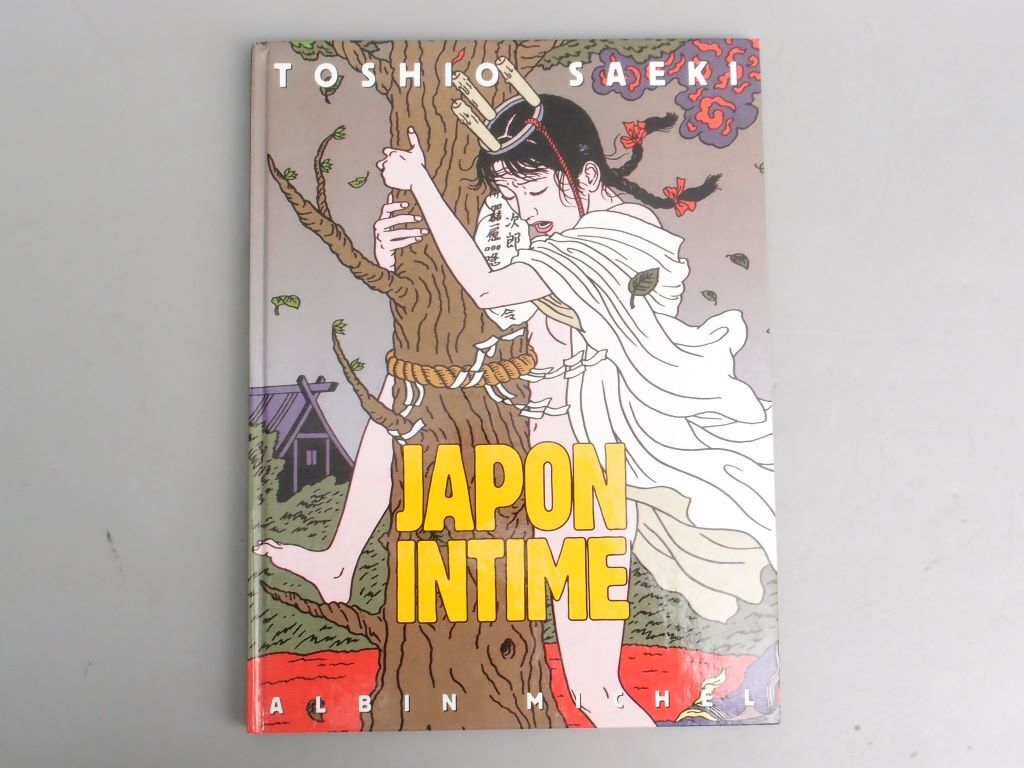 Toshio Saeki JAPON INTIME Collection d'estampes françaises, peinture, Livre d'art, Collection d'œuvres, Livre d'art