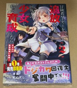 冒険者パーティーを追放された回復士の少女を拾って育成したら、まさかの最強職業に転職!? おまけに彼女の様子が何やらおかしくて… 2