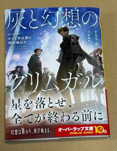 新刊 未読品 灰と幻想のグリムガル 20巻 （オーバーラップ文庫） 十文字青／著