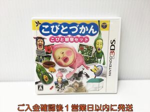 3DS こびとづかん こびと観察セット ゲームソフト 1A0201-098ek/G1