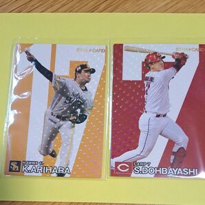 プロ野球チップス2024 スターカード 有原航平 堂林翔太