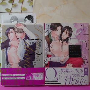BLコミック オメガバース系2冊まとめ①