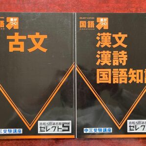 進研ゼミ中学講座　セレクト５　中３　高校受験　国語2冊セット