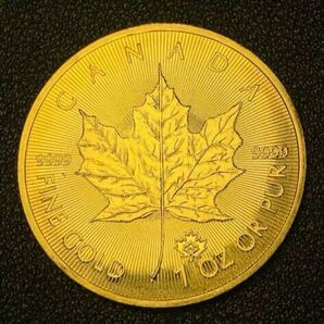 1000刻印 古銭 記念メダル カナダ 古銭 メイプルリーフ 50ドル金貨 24金の画像1
