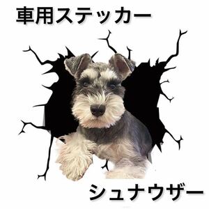 【即日発送】車用ステッカー　犬　3D　シール　カー用品　シュナウザー　15cm