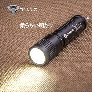 懐中電灯 LEDキーライト スムーズな調節 90ルーメン ハンディー IPX8防水 小型 軽量 単4電池付き 停電対策 緊急用 キャンプ(ブラック)