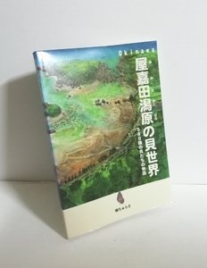 ★送料無料　屋嘉田潟原の貝世界　500種の貝たちの物語（沖縄・琉球・恩納村）