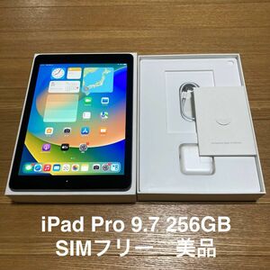 iPad Pro 9.7 256GB Space Gray SIM Free