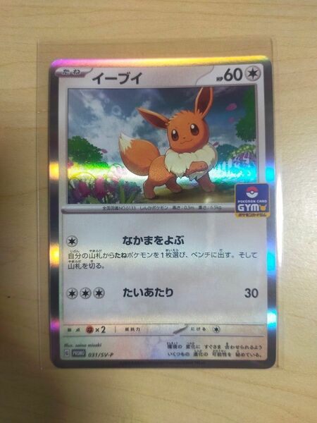 ポケモンカード　イーブイ　ジムバトル