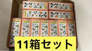 京都念慈菴（びわシロップ）15g×5本入り×11箱セット　蜜煉枇杷膏（台湾）