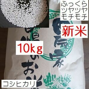 安全安心の地下水栽培 モチモチのコシヒカリ白米 10キロ送料無料 採れたて 令和5年産 栃木県産 農家直売16の画像1