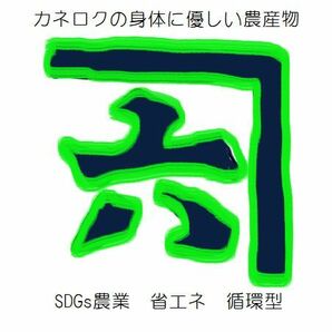 安全安心の地下水栽培 モチモチのコシヒカリ白米 10キロ送料無料 採れたて 令和5年産 栃木県産 農家直売16の画像5