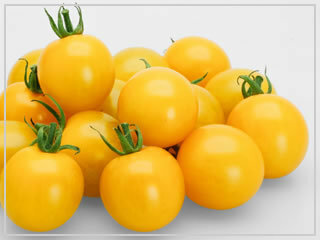 ［送料無料・オーガニック・種］黄色 中玉トマト 50粒 農薬不使用 ゆうパケット