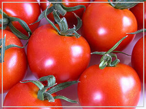 ［送料無料・オーガニック・種］中玉トマト 10粒 農薬不使用 固定種