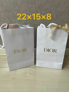 DIOR ディオール　紙袋　ショップ袋　セット　ラッピングリボン付き　ギフト