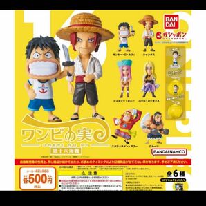 ワンピの実 第十六海戦 ONE PIECE