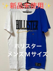 【ホリスター】Tシャツ