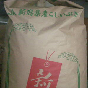 【越乃】令和5年減農薬栽培★新潟こしいぶき白米25kg☆☆☆☆☆の画像1