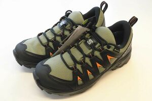 SALOMON サロモン X BRAZE GTX 24.5cm 471806