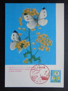  Maximum card 1980 year [ flower *.* culture fortune ].. flower . butterfly (40 jpy ) Showa era 55.10.1 MC card 