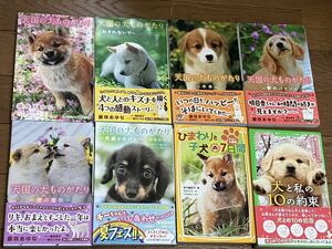 天国の犬ものがたり/ひまわりと子犬の7日間/犬と私の10の約束