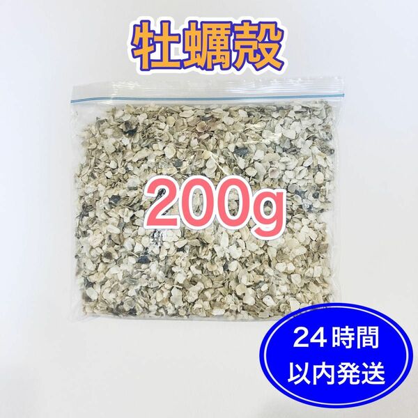 牡蠣殻チップ　200g メダカ　エビ　タニシ　貝　ろ材