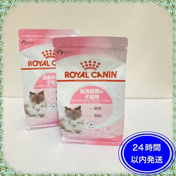 ロイヤルカナン キャットフード　成長前期の子猫用　仔猫　400g×2袋