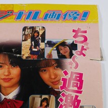 販促用チラシ(A4サイズ)　DVD麻雀　第8弾　アイドル学園　NICHIBUTSU_画像4