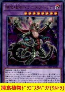 ★遊戯王★　捕食植物ドラゴスタペリア(ウルトラ)　プレデタープランツドラゴスタペリア