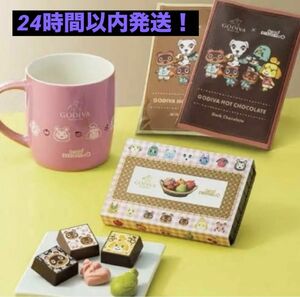 アソートメント 6粒入&ホットチョコレート＆ピンクのマグカップのセット